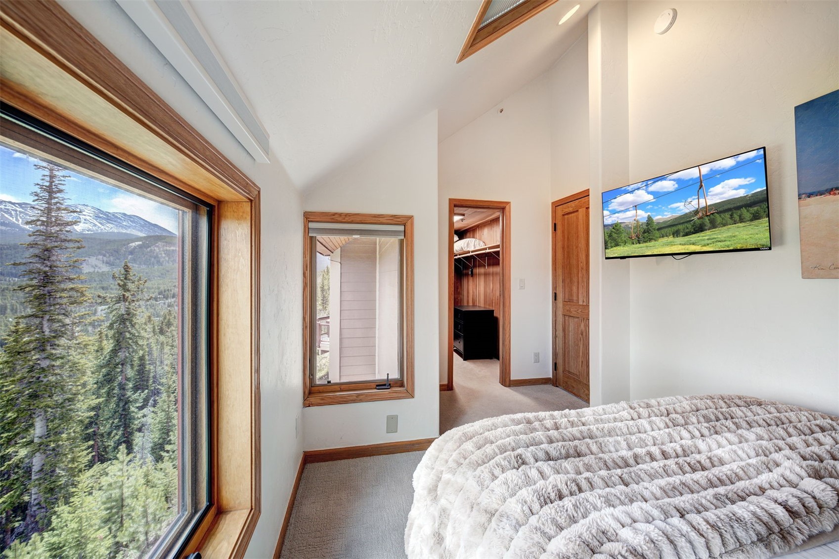 442 White Cloud Drive Breckenridge CO 80424