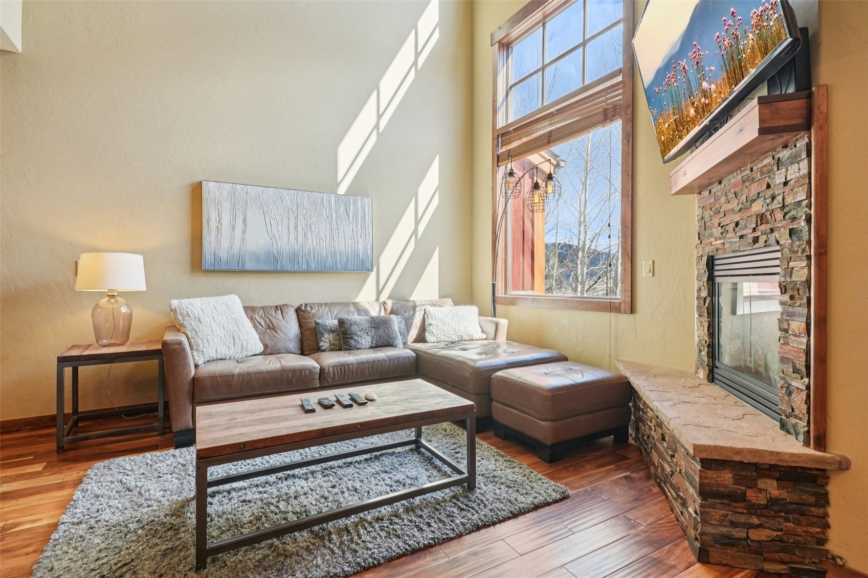 50 County Road 1293 Silverthorne CO 80498
