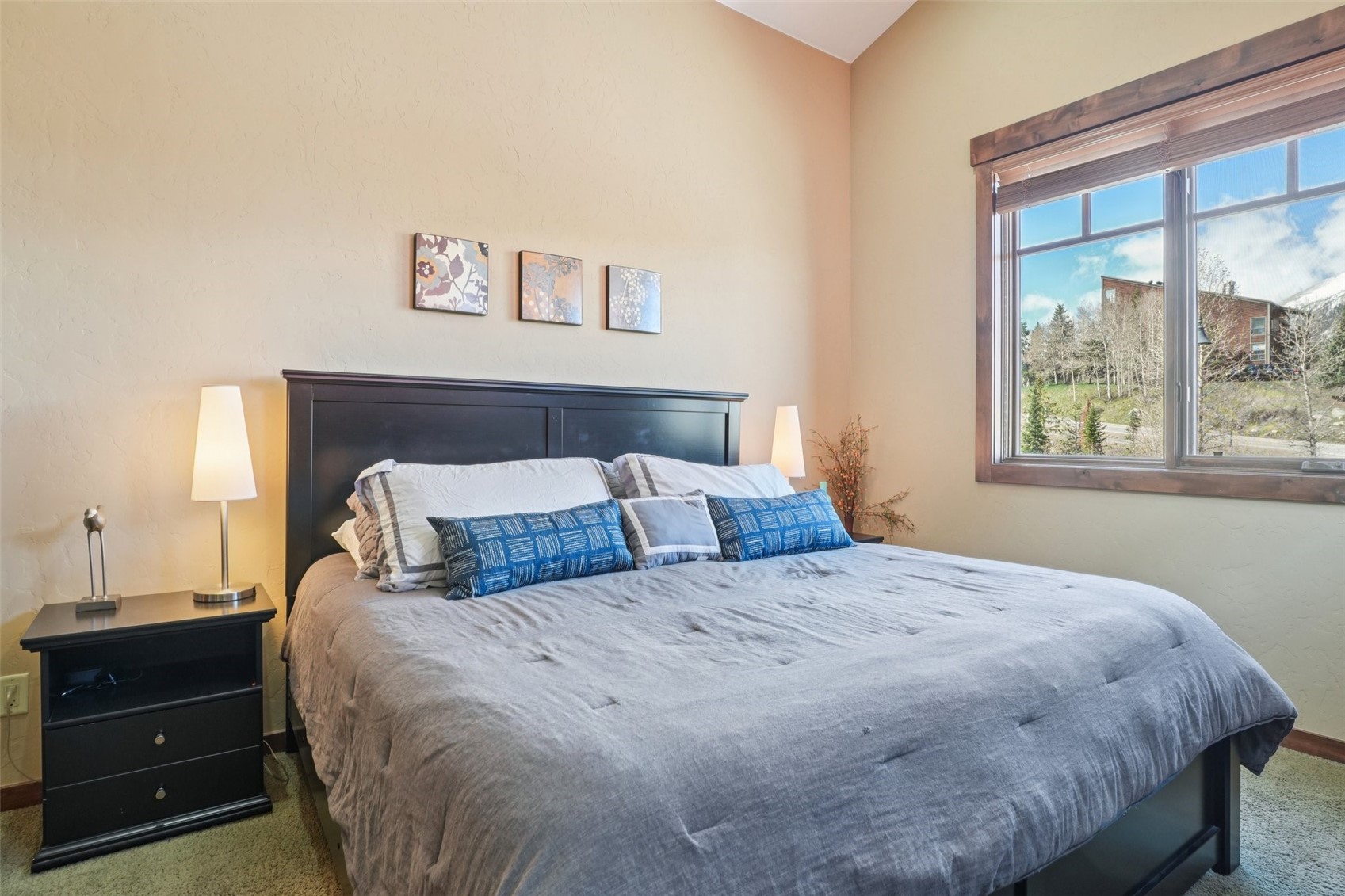 50 County Road 1293 Silverthorne CO 80498