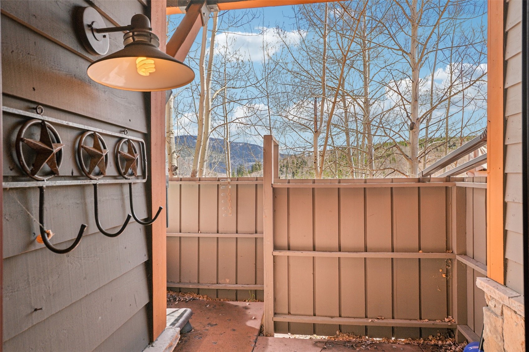 50 County Road 1293 Silverthorne CO 80498