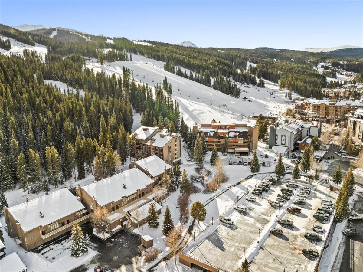108 Guller Road Copper Mountain CO 80443