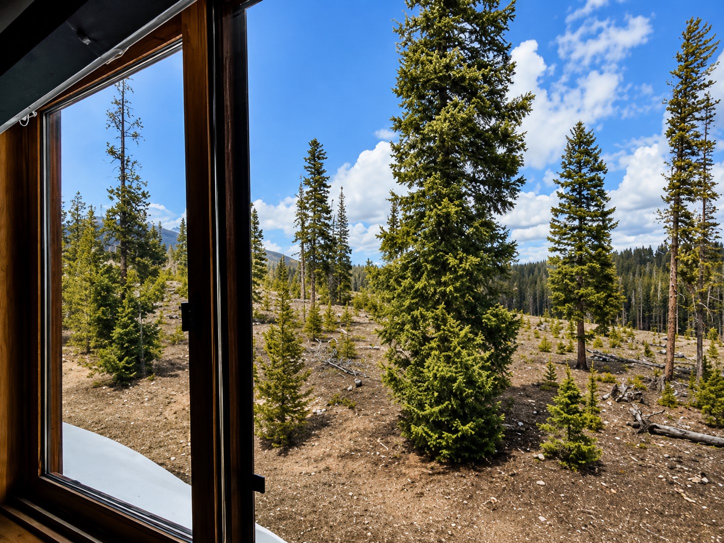 91200 Ryan Gulch Road Silverthorne CO 80498