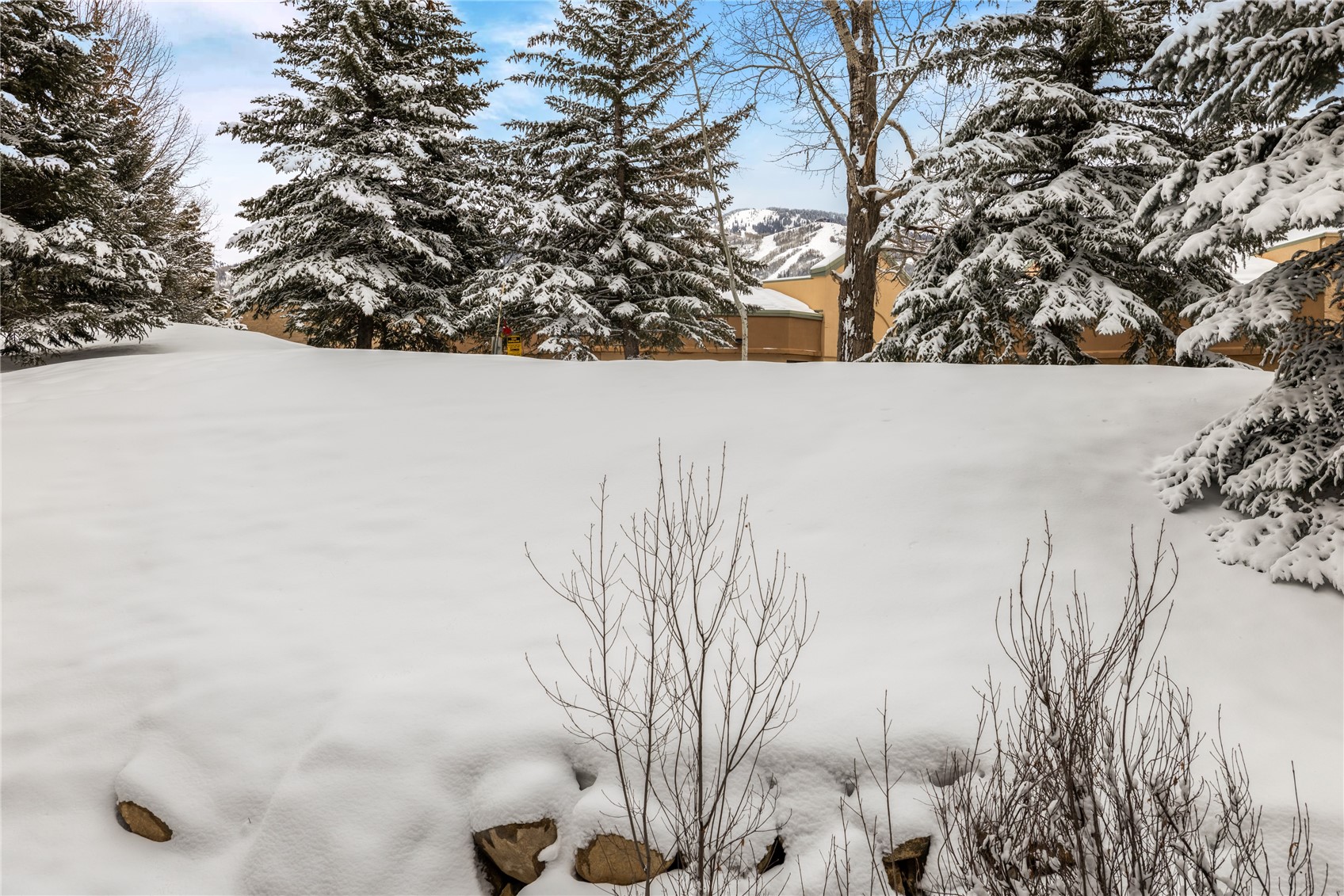 435 Ore House Plaza Steamboat Springs CO 80487