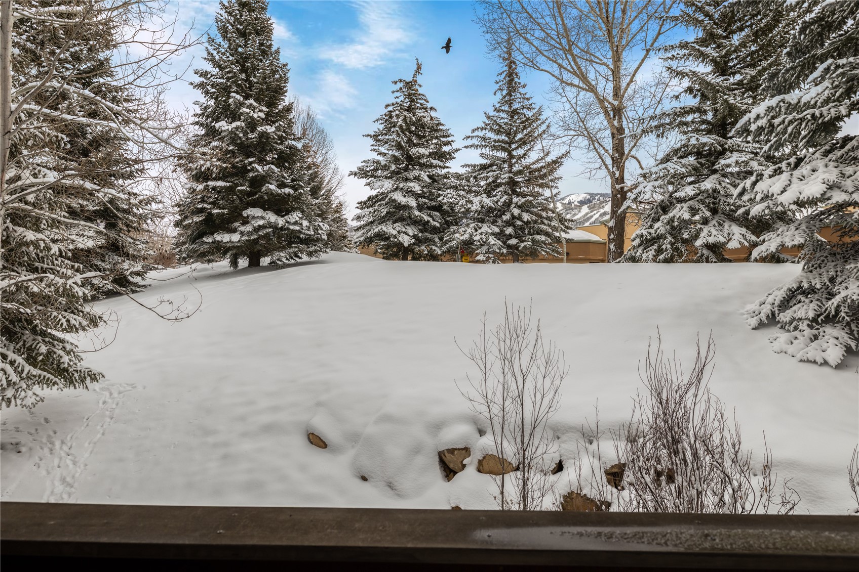 435 Ore House Plaza Steamboat Springs CO 80487
