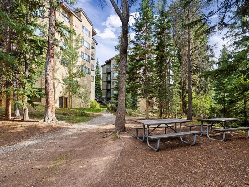 745 Columbine Road Breckenridge CO 80424
