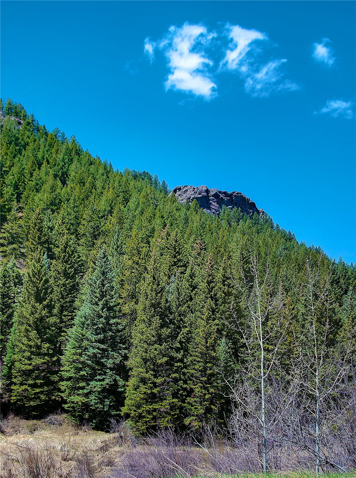 23800 County Road 16 Oak Creek CO 80467