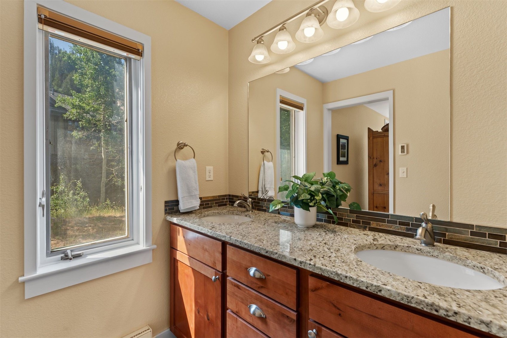 402 Wild Irishman Road Keystone CO 80435