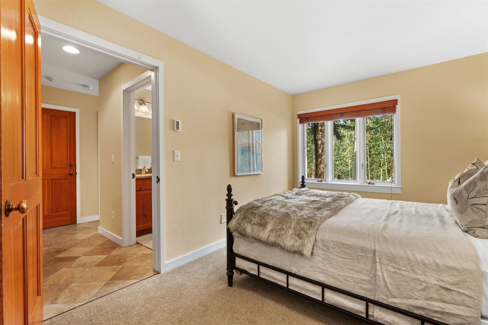 402 Wild Irishman Road Keystone CO 80435