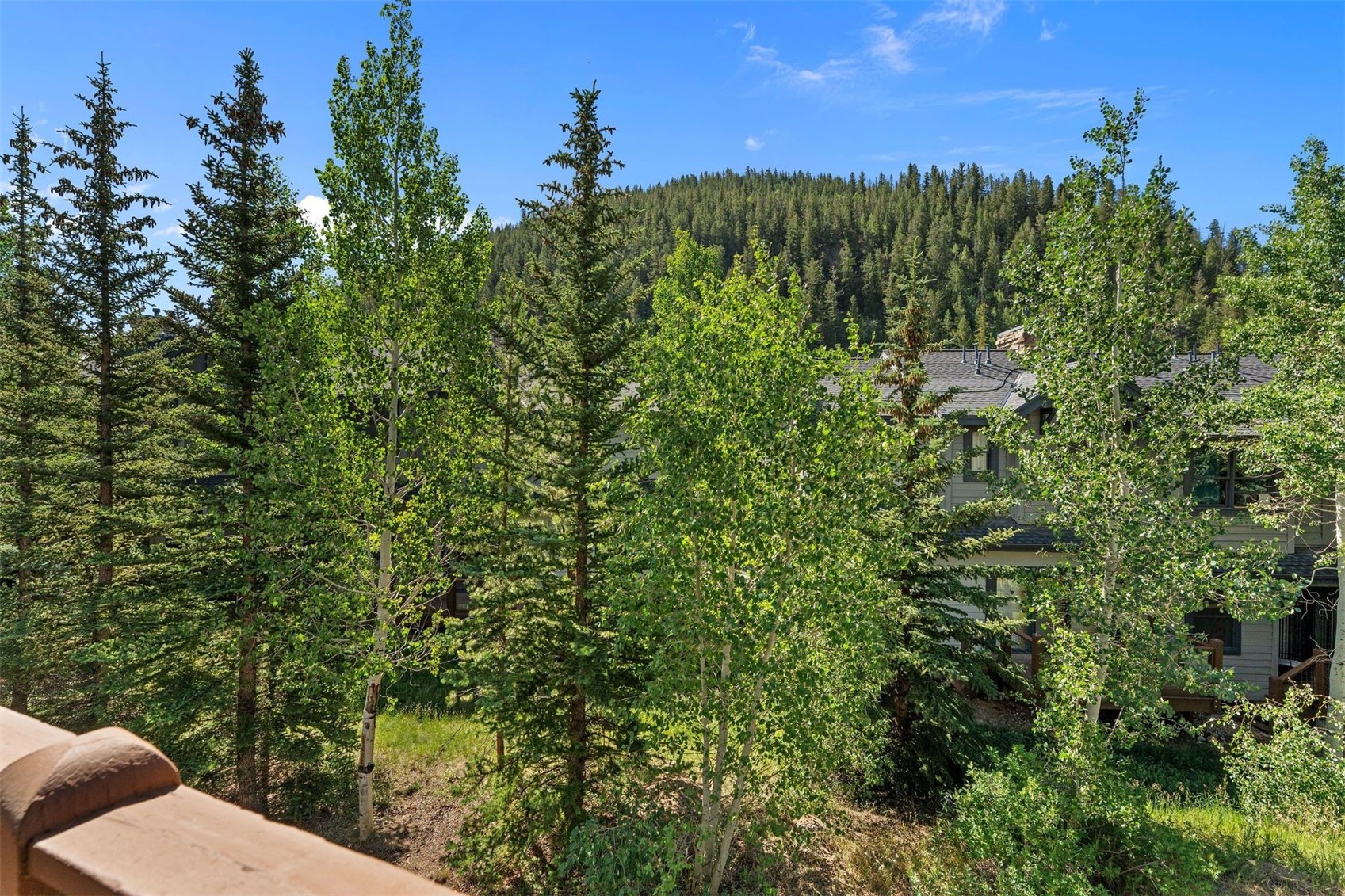 402 Wild Irishman Road Keystone CO 80435
