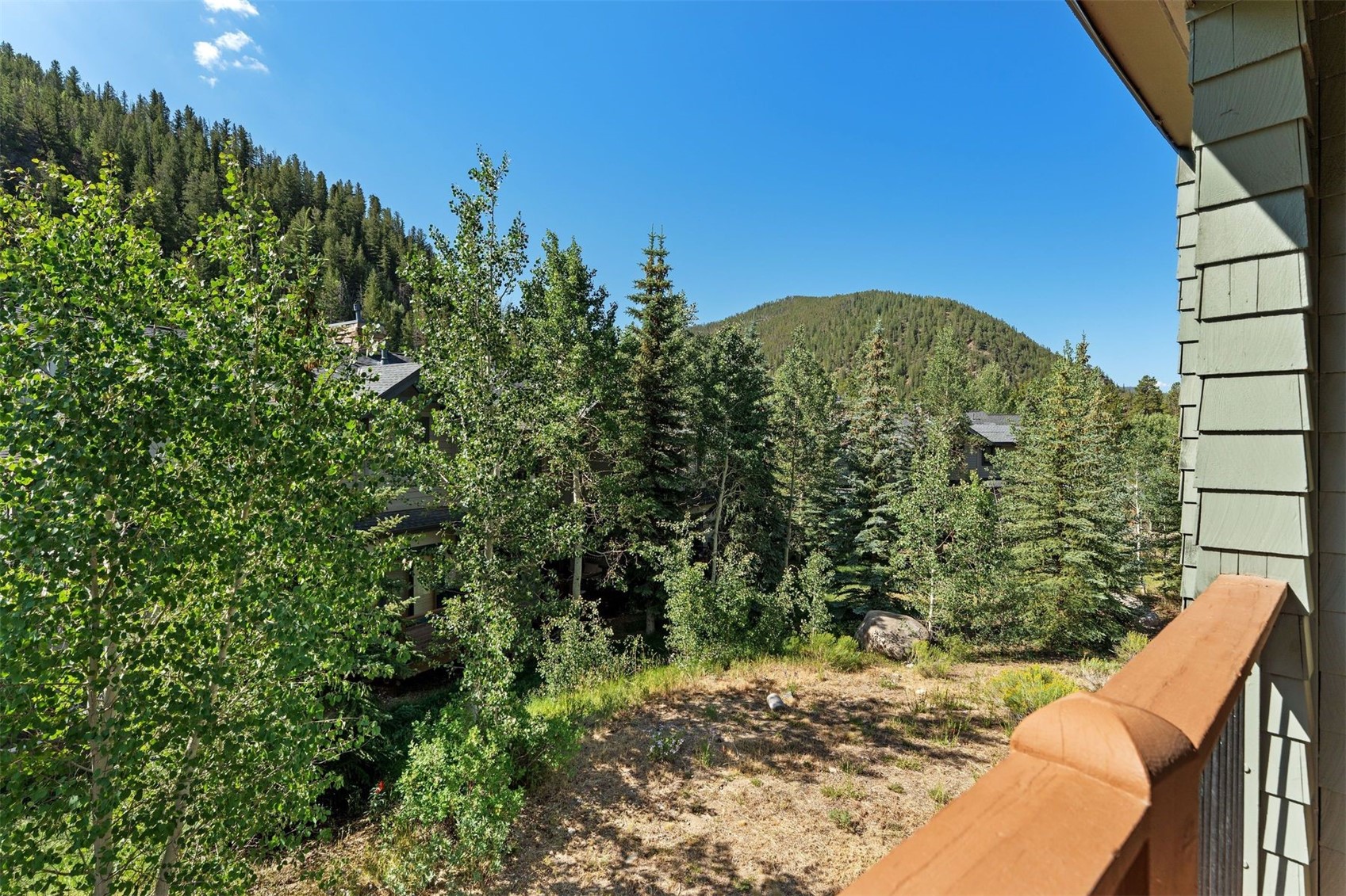 402 Wild Irishman Road Keystone CO 80435