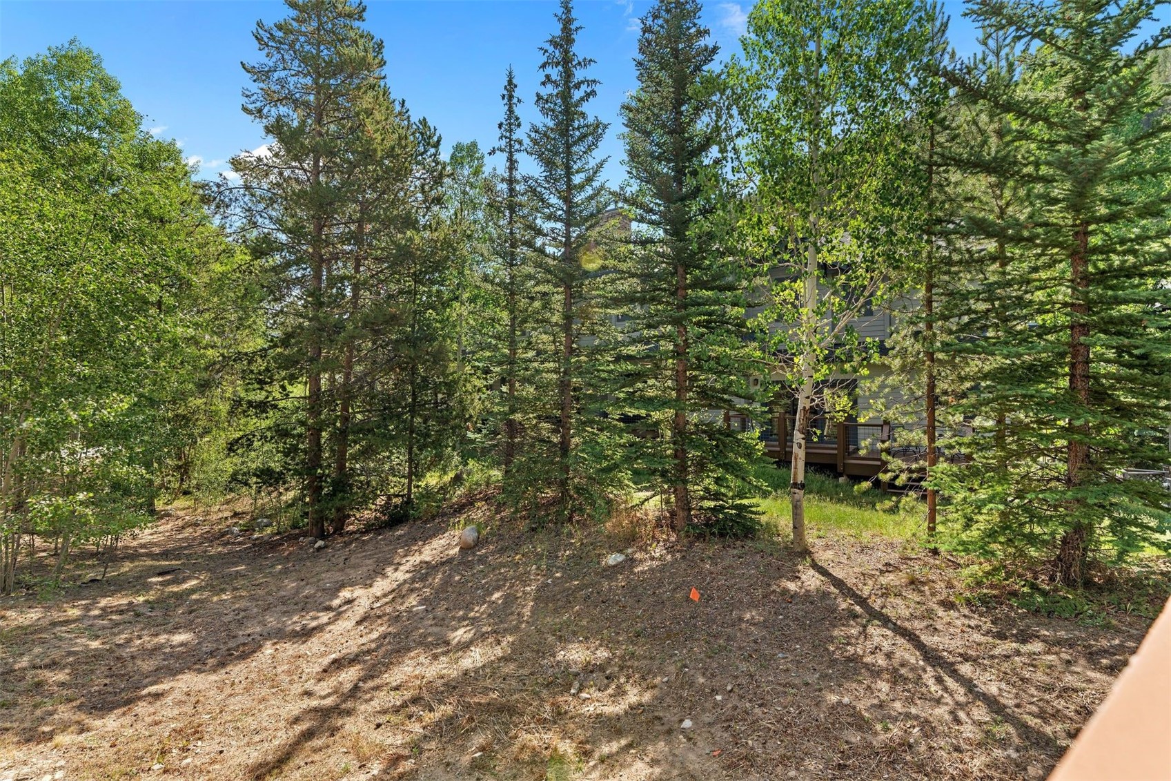402 Wild Irishman Road Keystone CO 80435