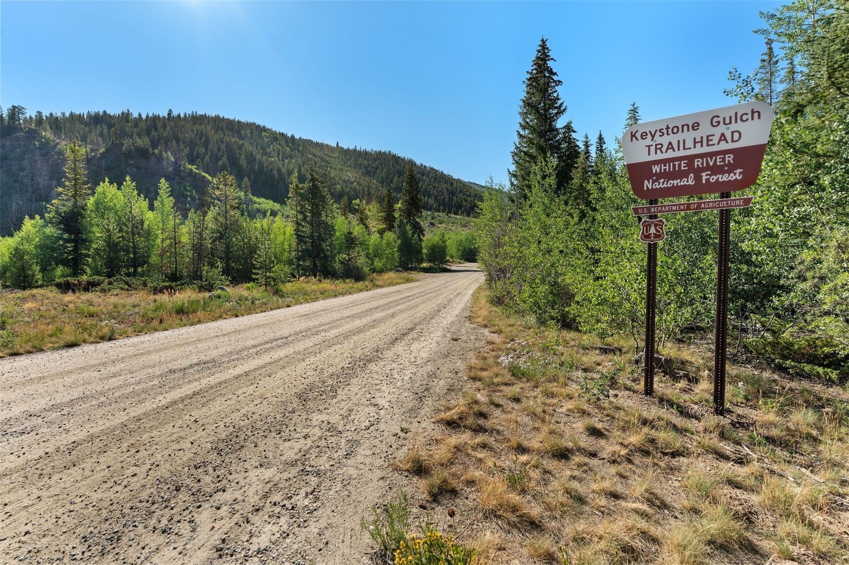 402 Wild Irishman Road Keystone CO 80435