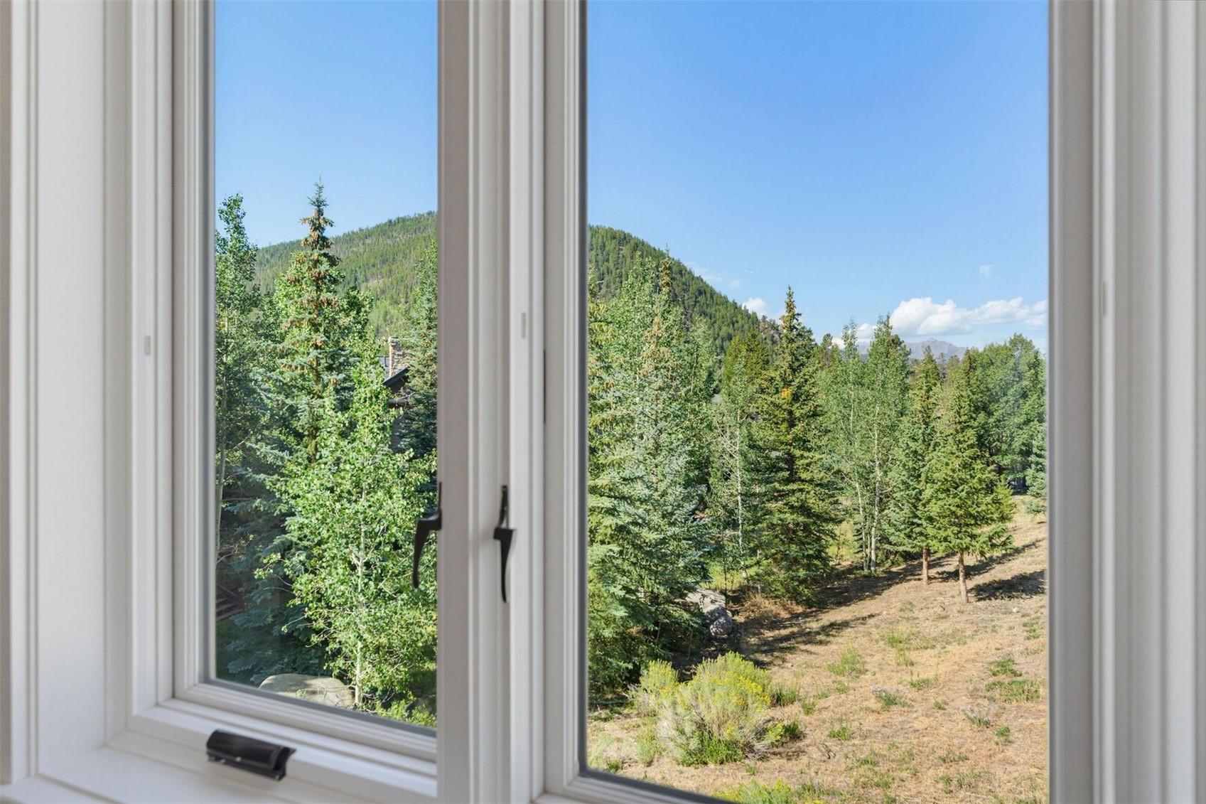 402 Wild Irishman Road Keystone CO 80435