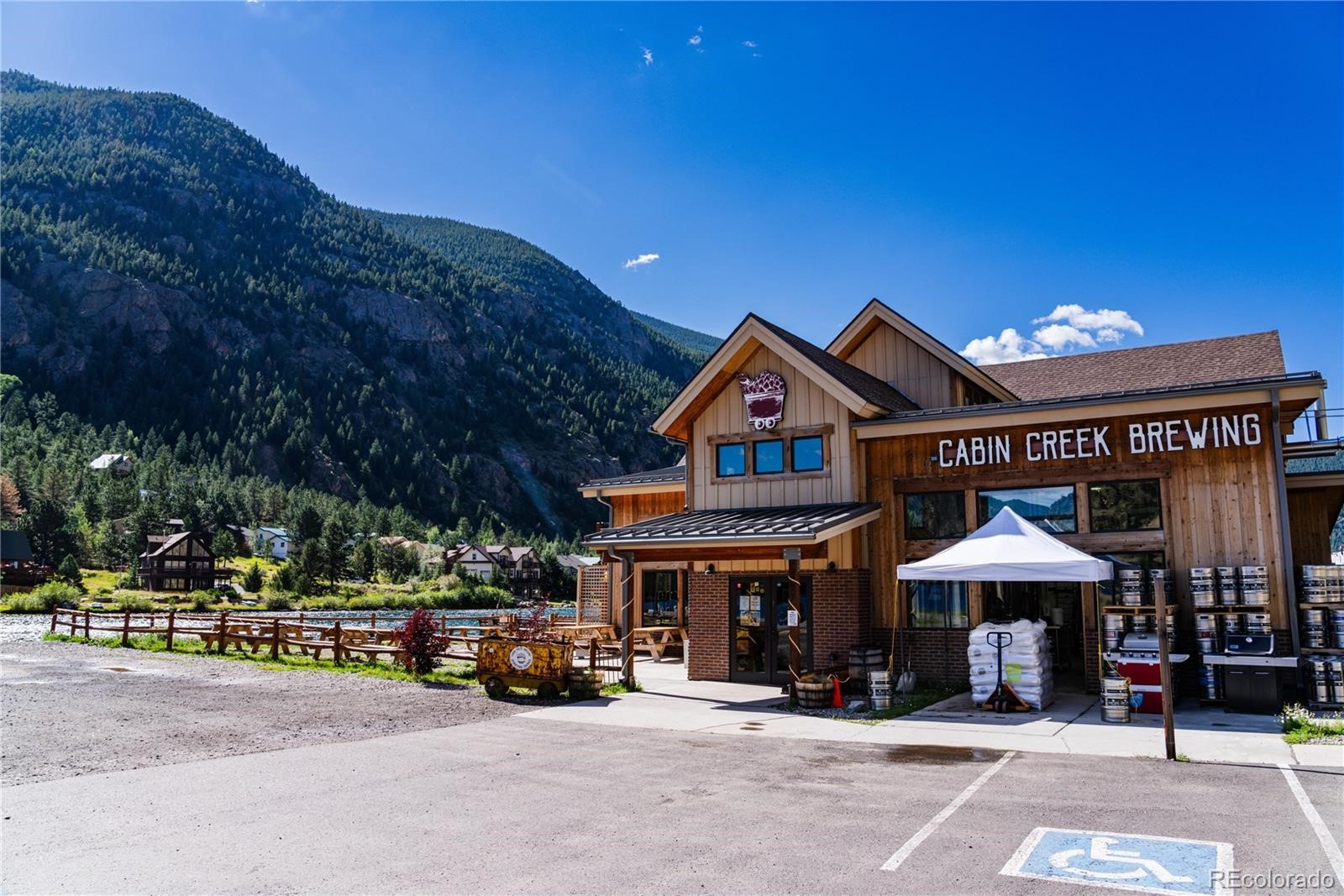 2121 Hummingbird Way Georgetown CO 80444