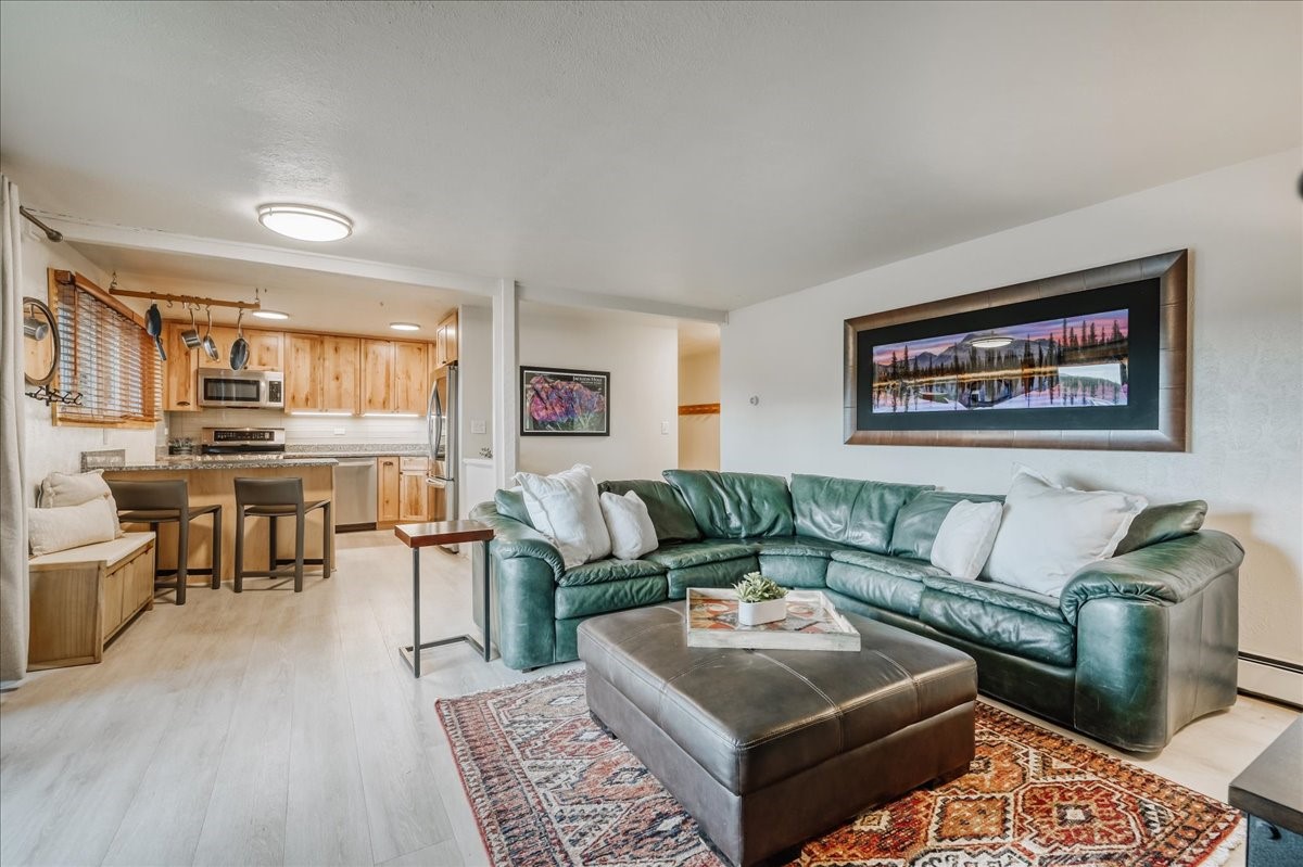 365 Salt Lick Circle Silverthorne CO 80498