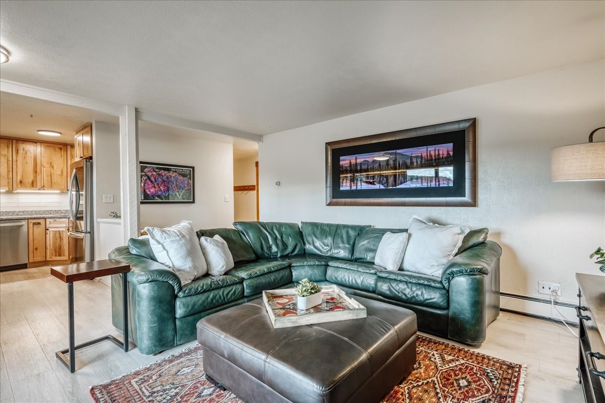 365 Salt Lick Circle Silverthorne CO 80498
