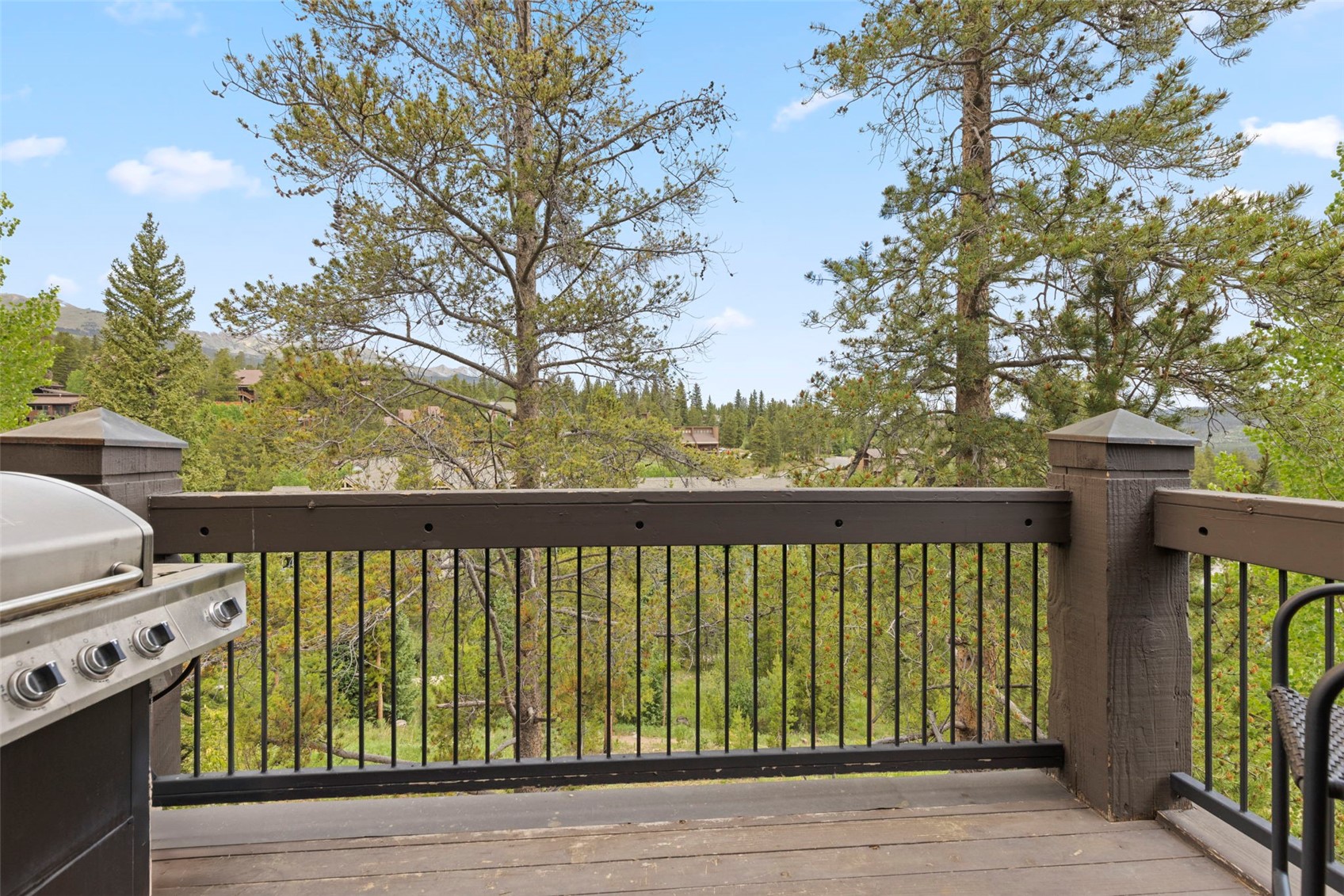 48 Bluff Court Breckenridge CO 80424