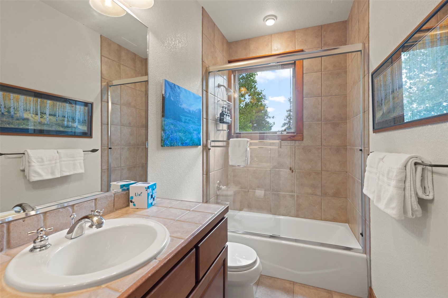 48 Bluff Court Breckenridge CO 80424