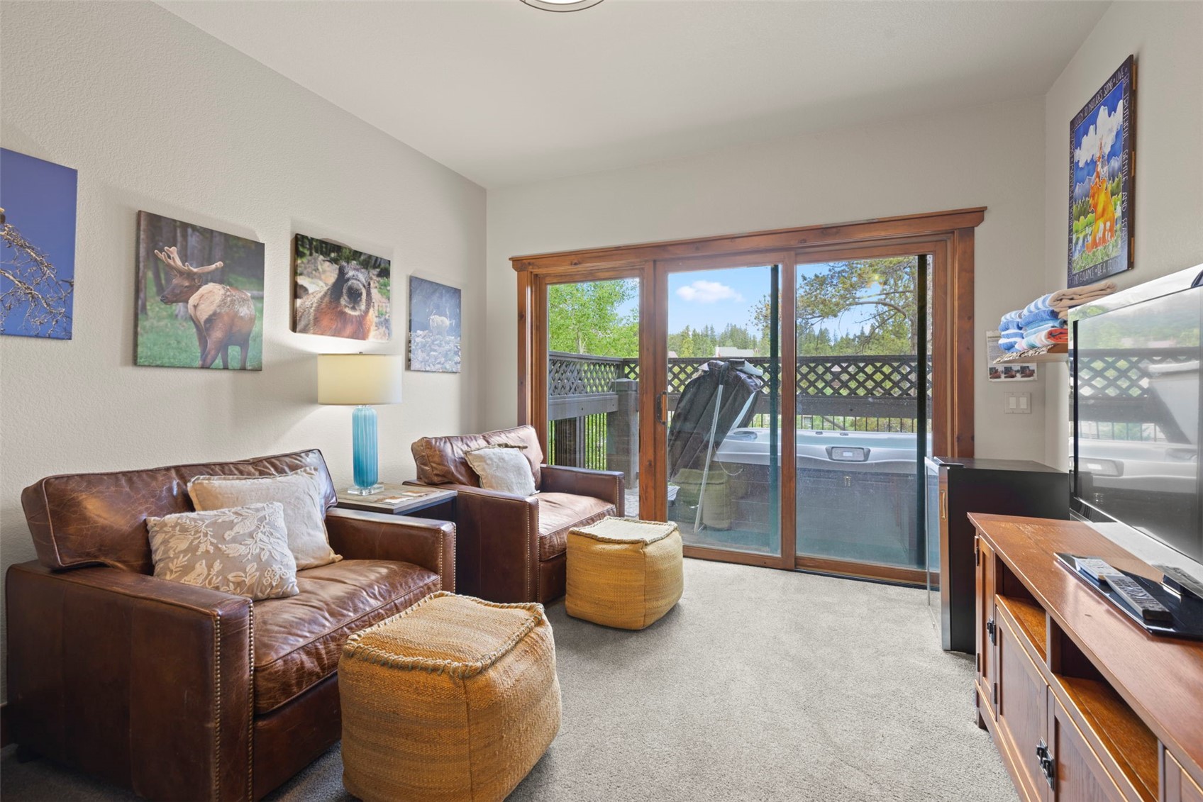 48 Bluff Court Breckenridge CO 80424