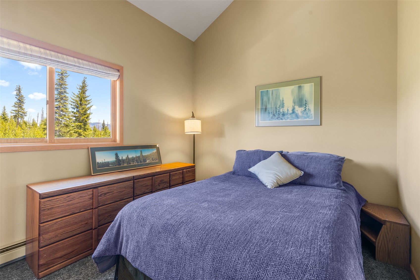 91500 Ryan Gulch Road Silverthorne CO 80498