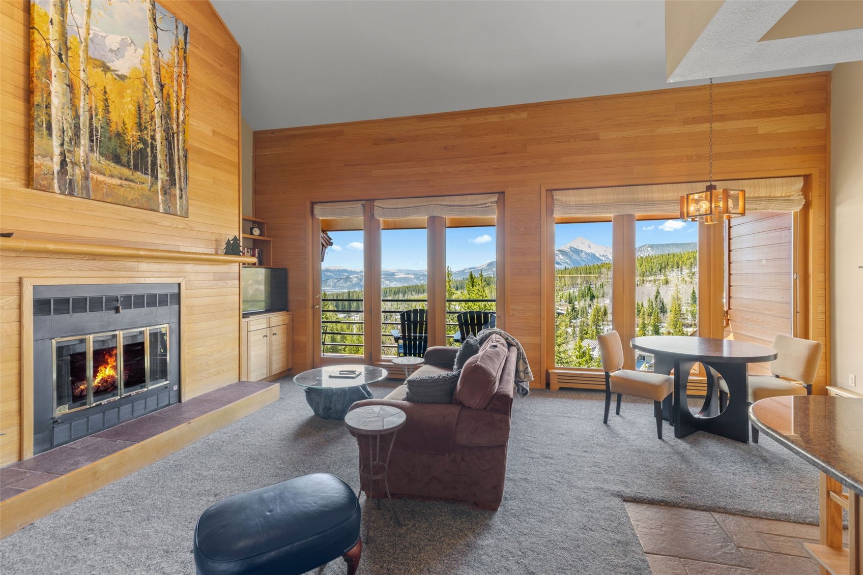91500 Ryan Gulch Road Silverthorne CO 80498
