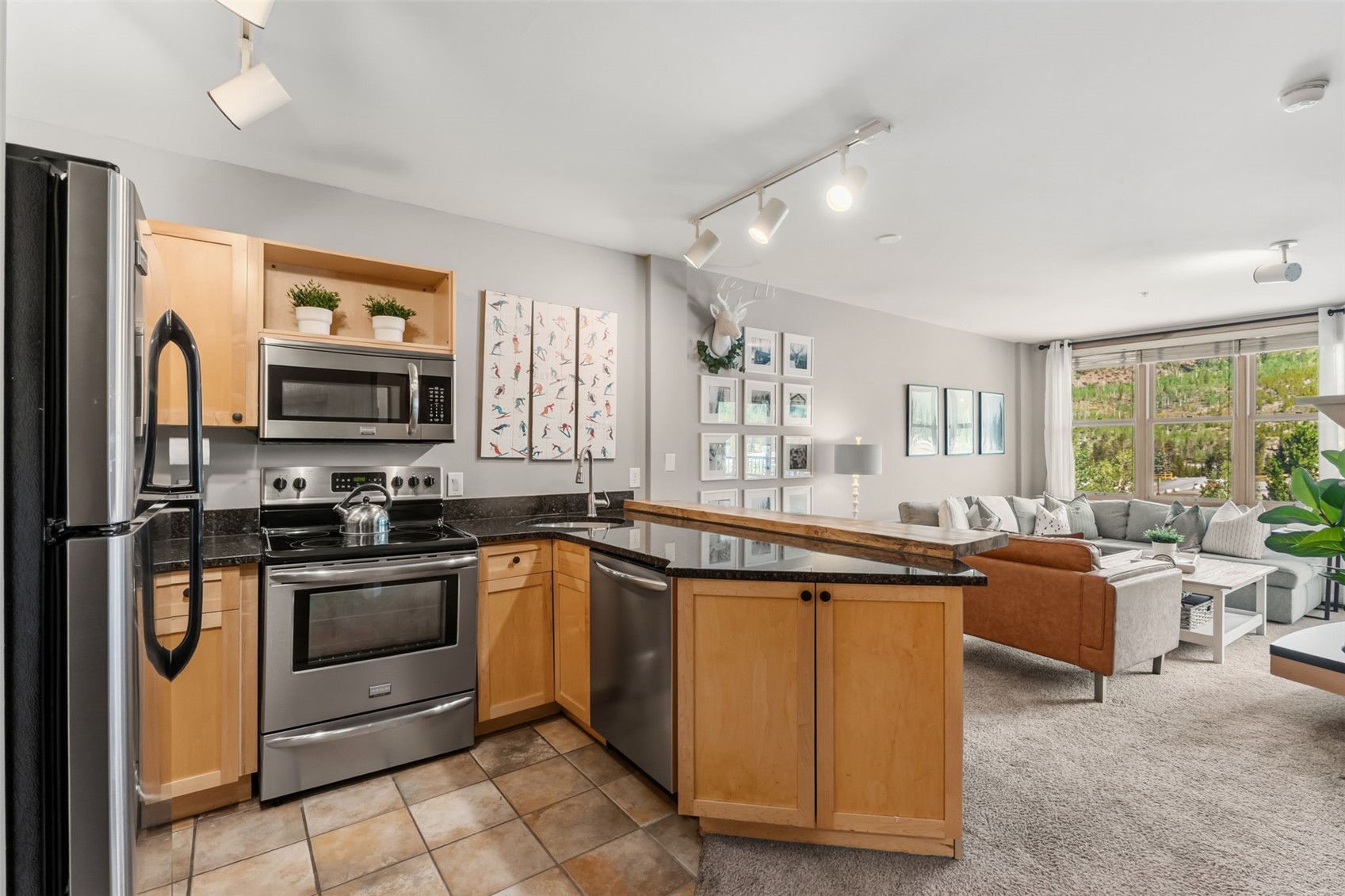 140 Ida Belle Drive Keystone CO 80435