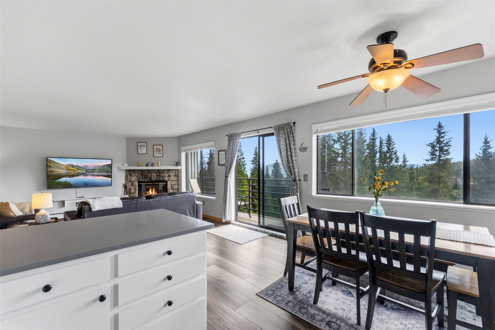 9849 Ryan Gulch Road Silverthorne CO 80498