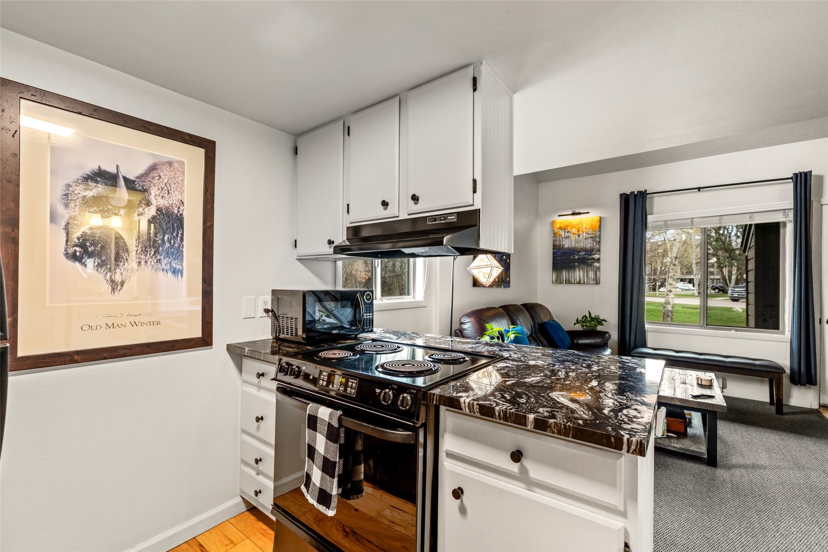 970 Confluence Court Steamboat Springs CO 80487