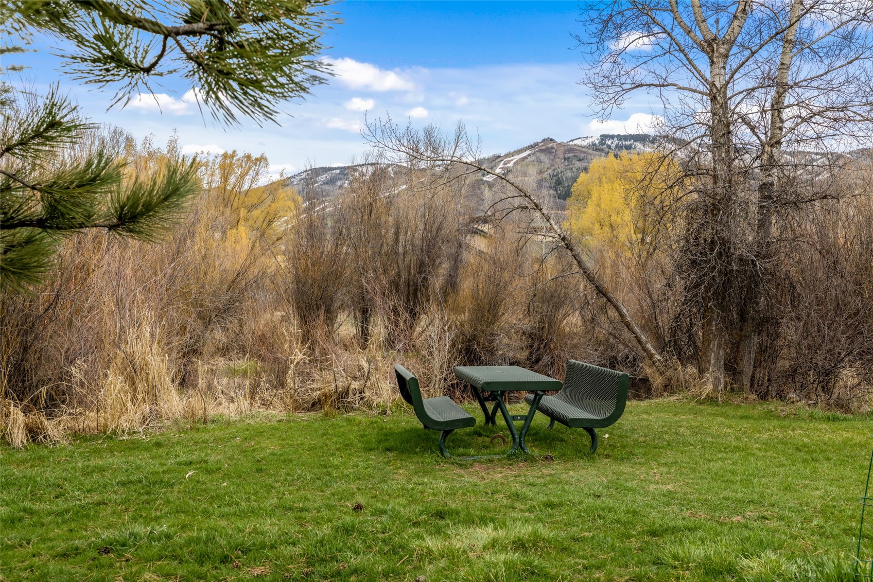 970 Confluence Court Steamboat Springs CO 80487