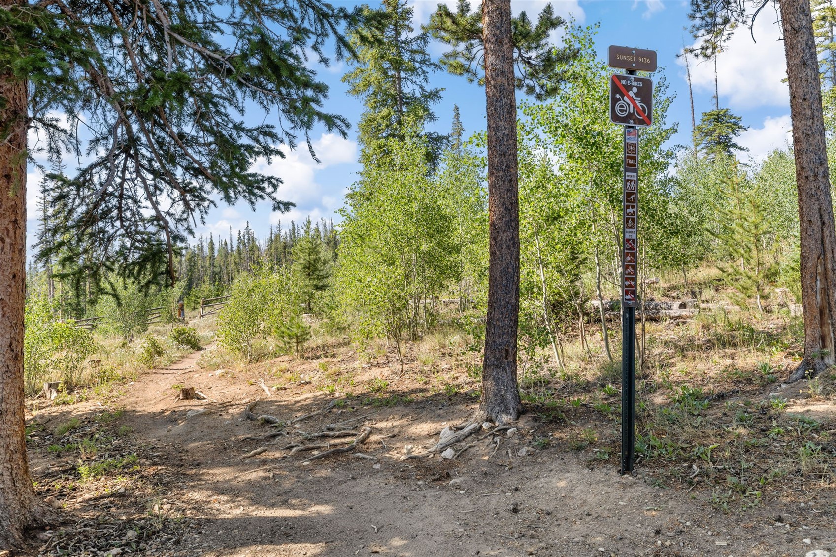 10000 Ryan Gulch Road Silverthorne CO 80498