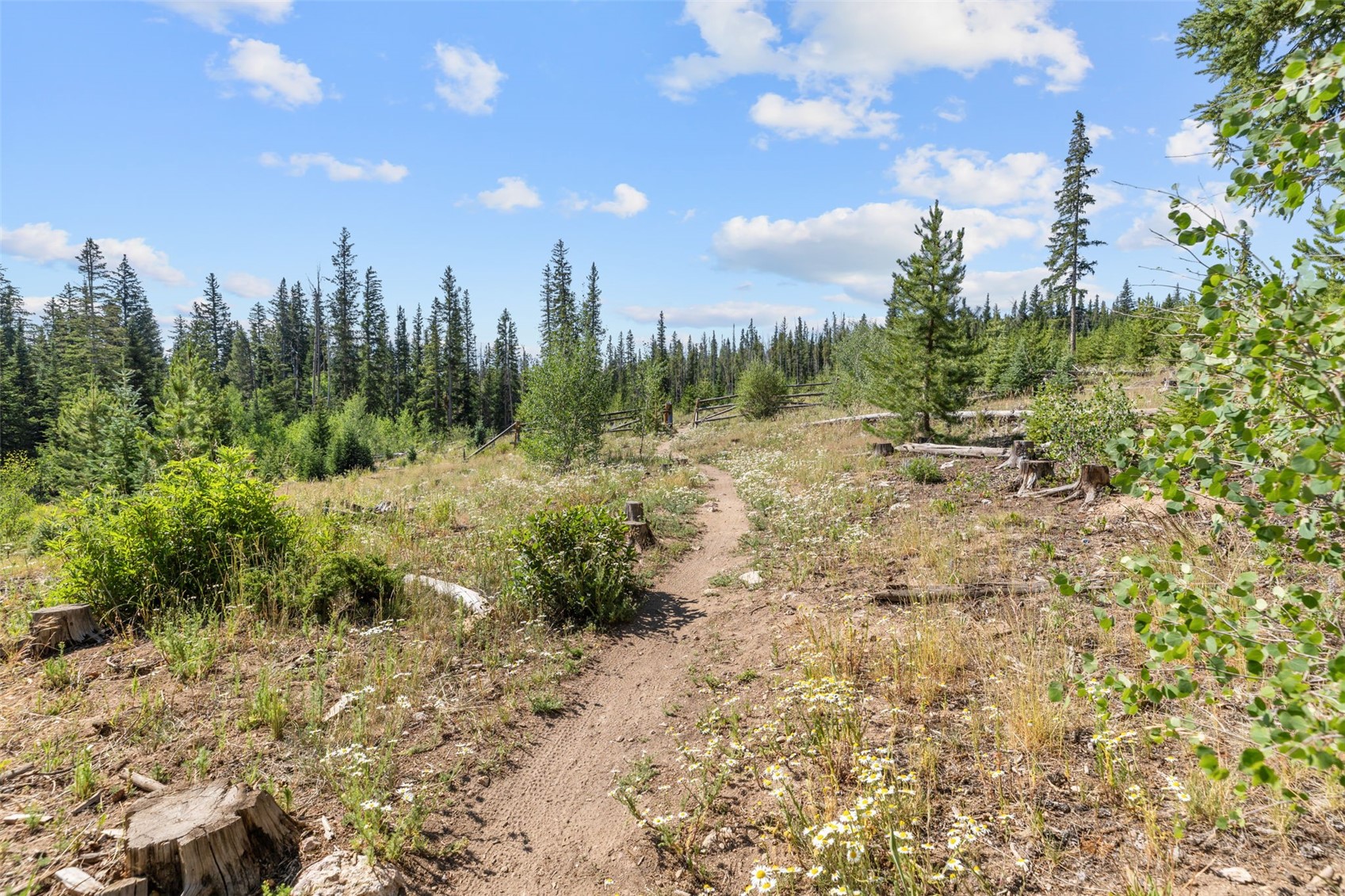 10000 Ryan Gulch Road Silverthorne CO 80498