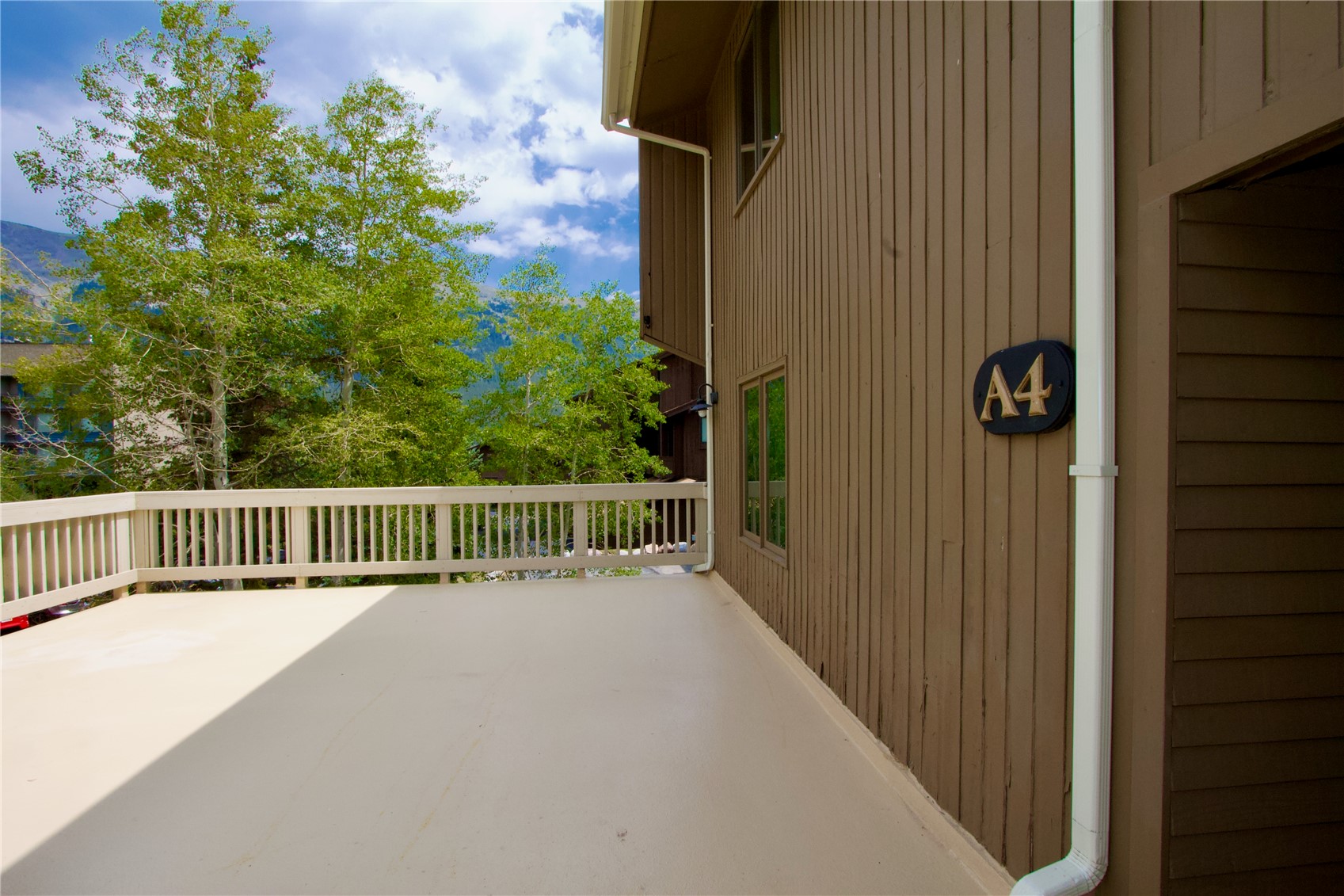 108 Guller Road Copper Mountain CO 80443