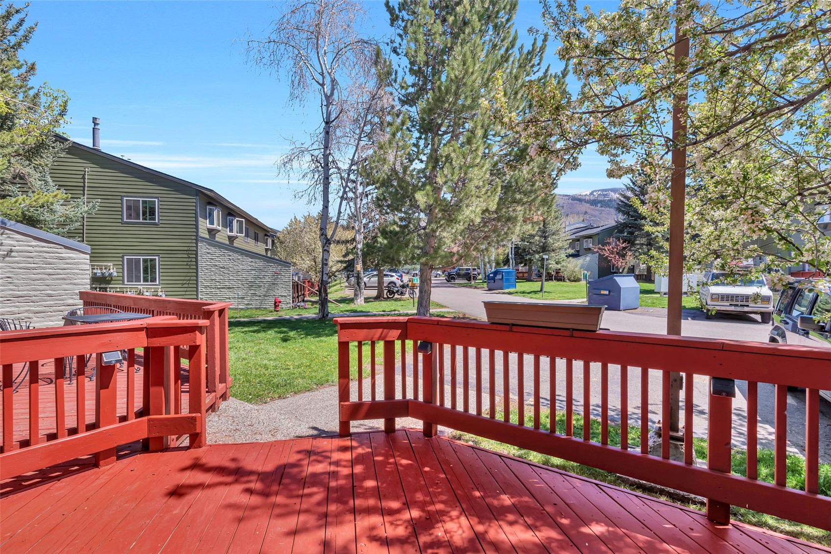 24 Balsam Court Steamboat Springs CO 80487