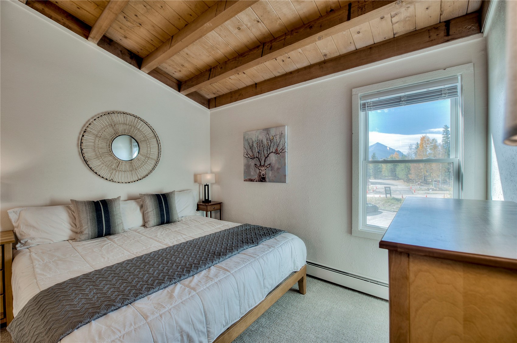 4400 Lodge Pole Circle Silverthorne CO 80498