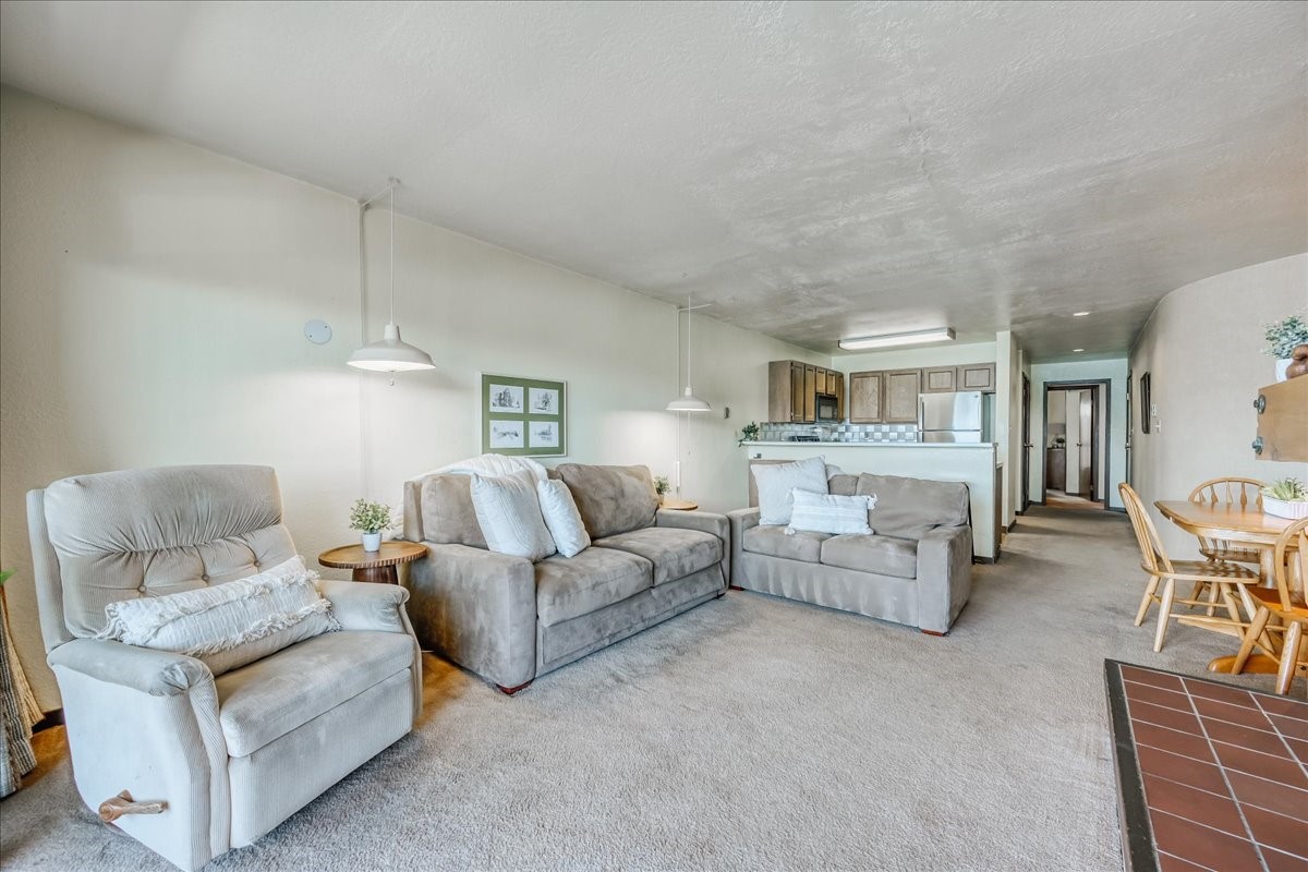 311 W La Bonte Street Dillon CO 80435