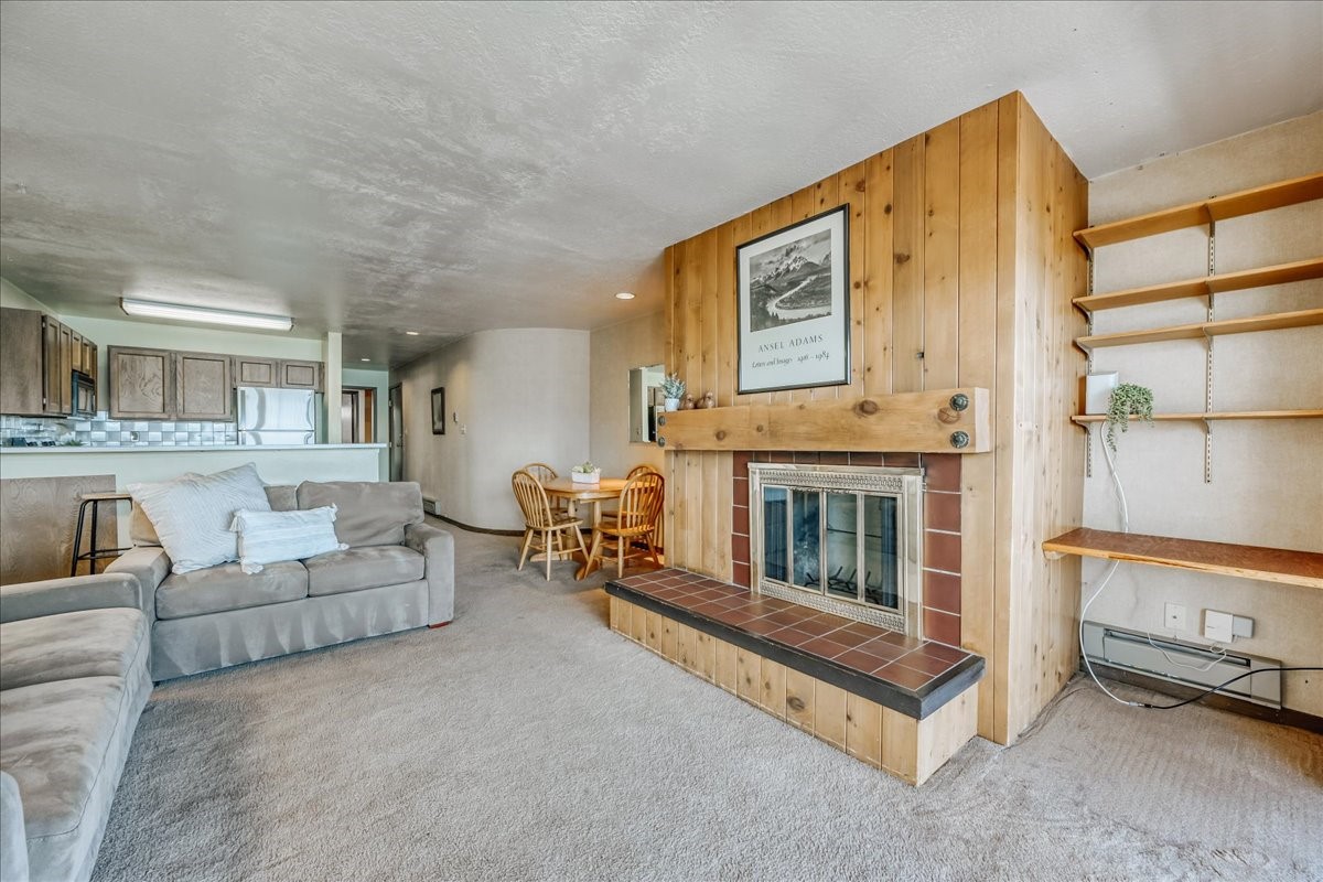311 W La Bonte Street Dillon CO 80435