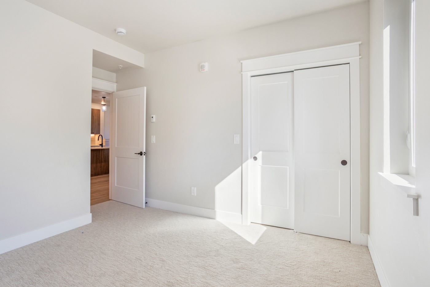 309 Grand Review Drive Leadville CO 80461