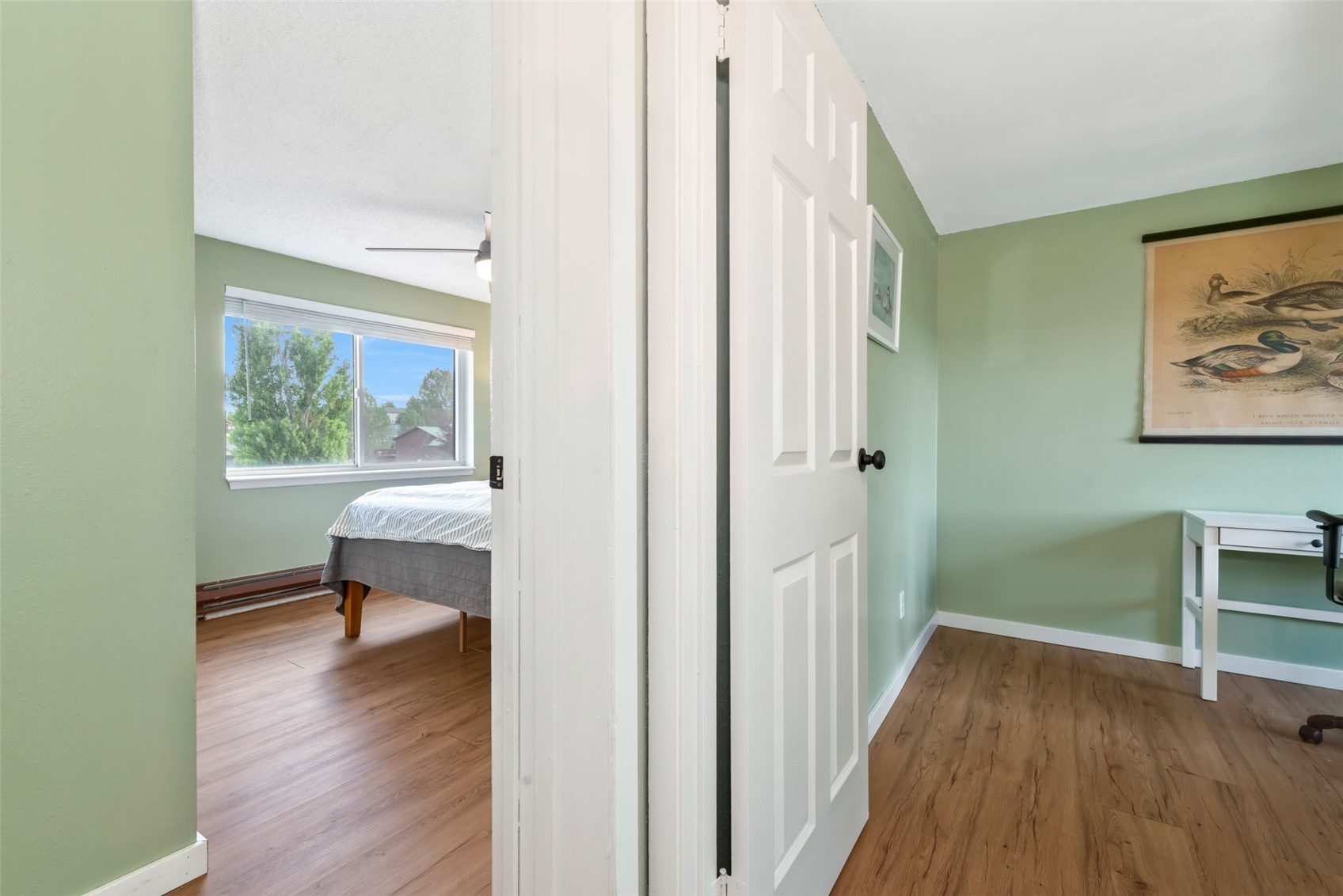 250 Harvest Drive Hayden CO 81639