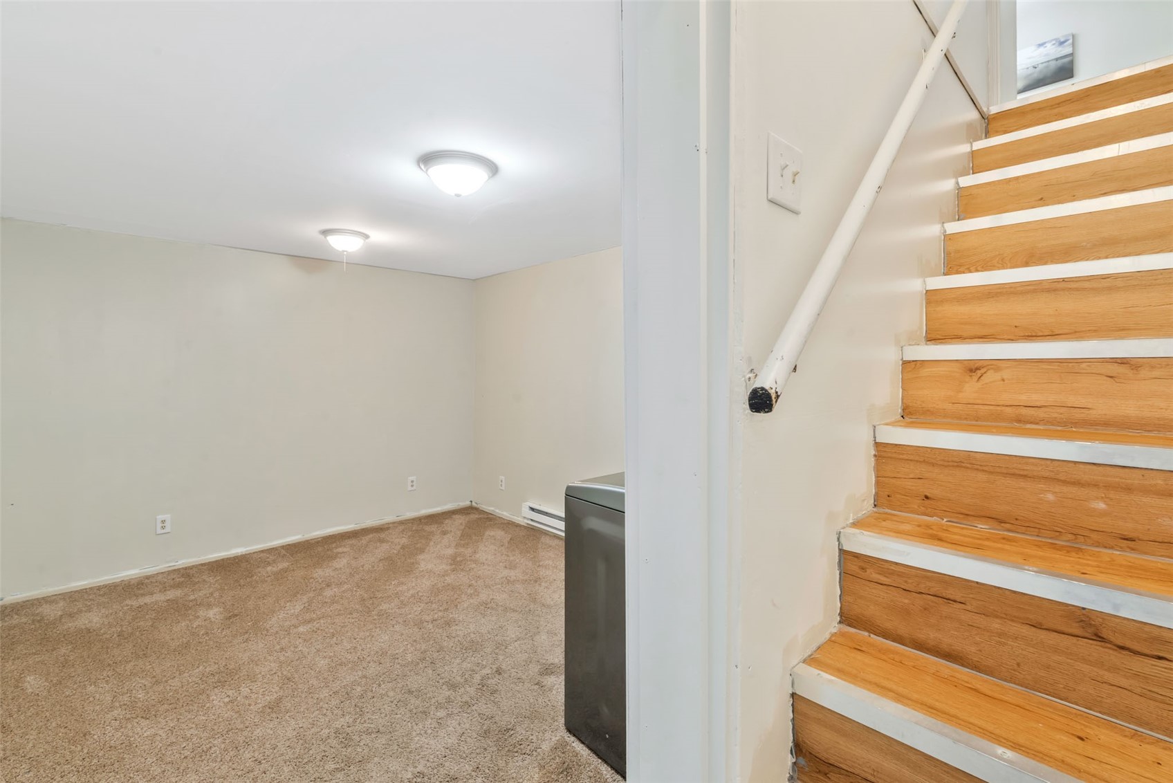 250 Harvest Drive Hayden CO 81639