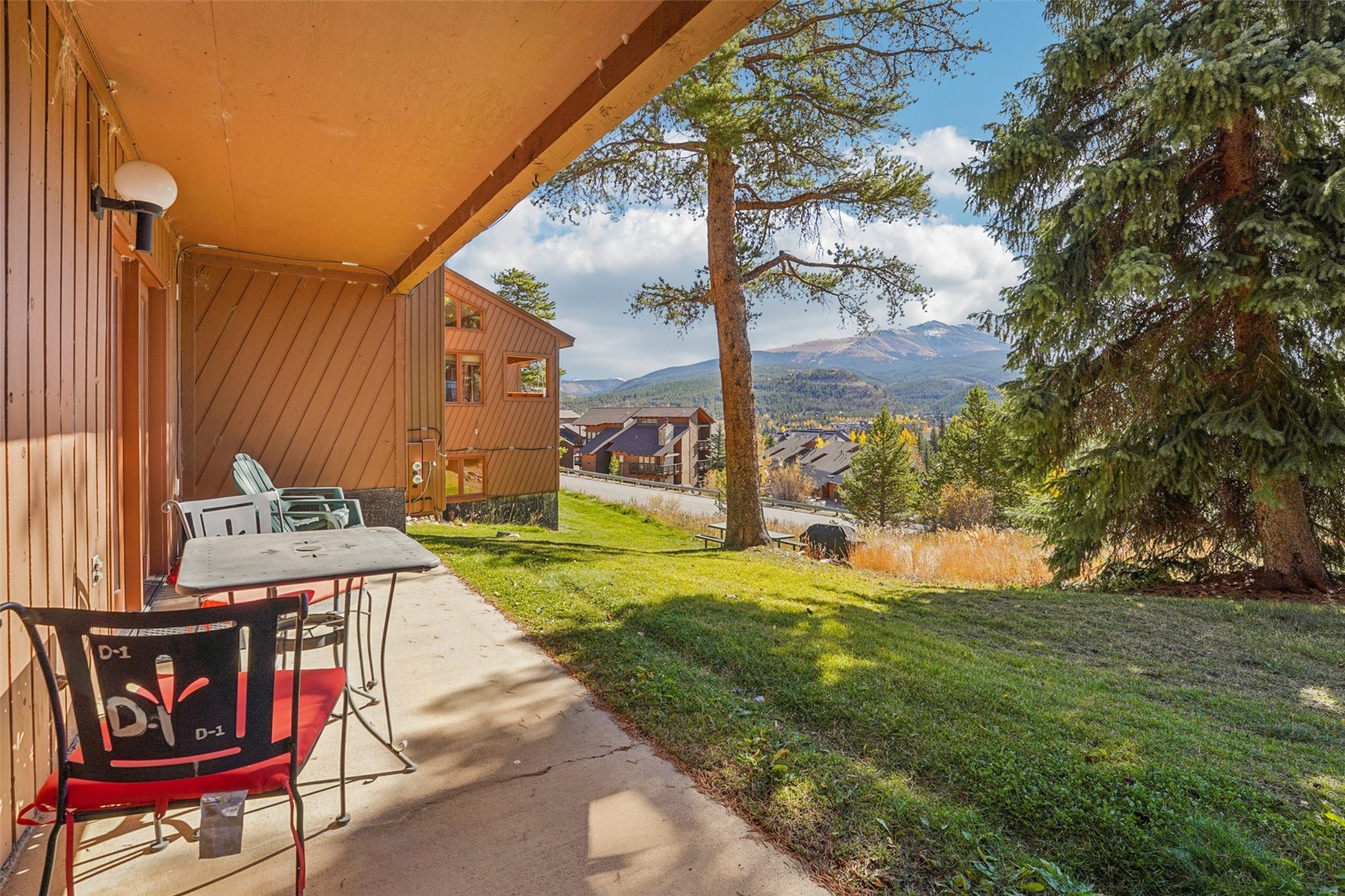 875 Four Oclock Road Breckenridge CO 80424