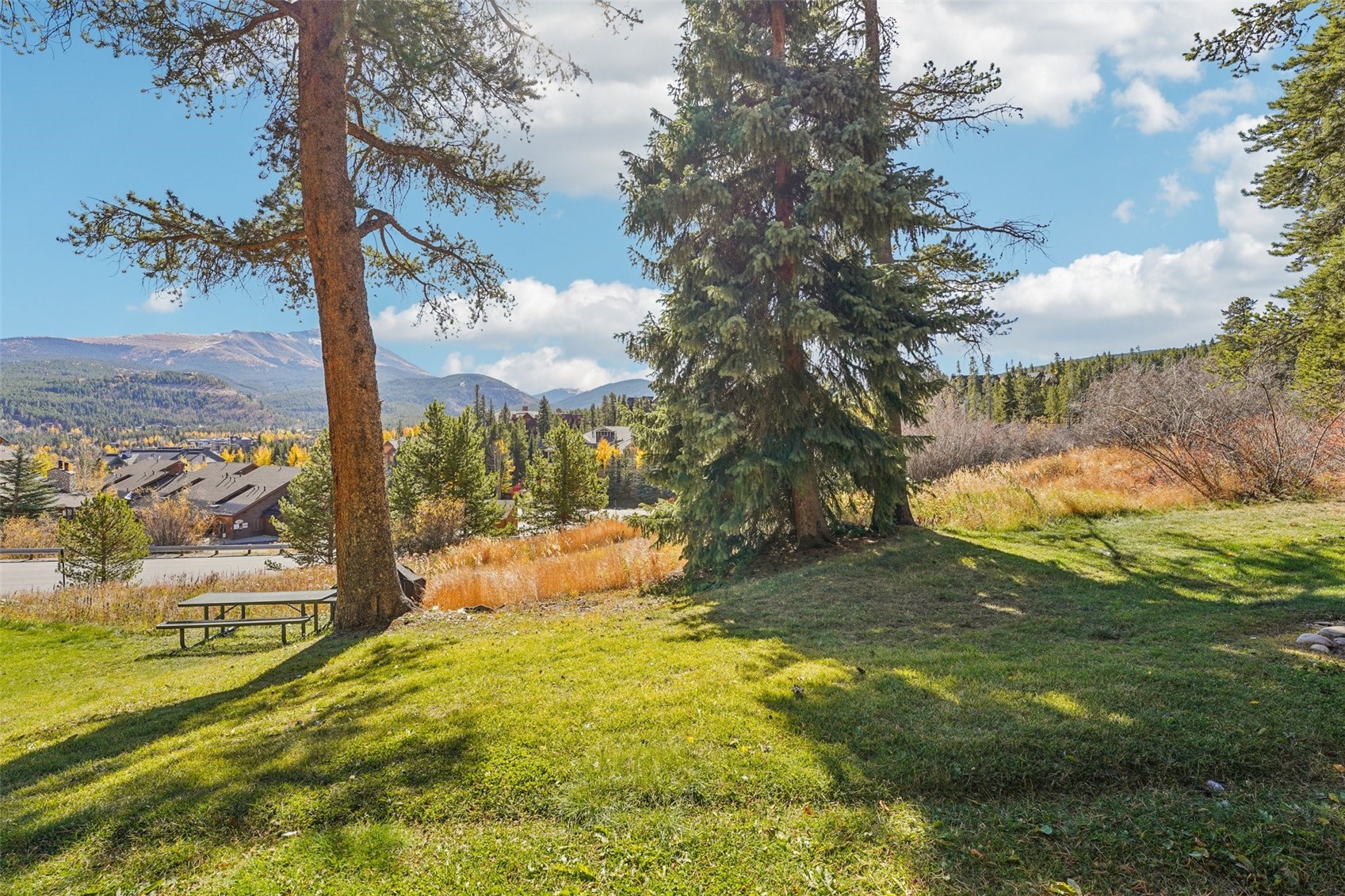 875 Four Oclock Road Breckenridge CO 80424