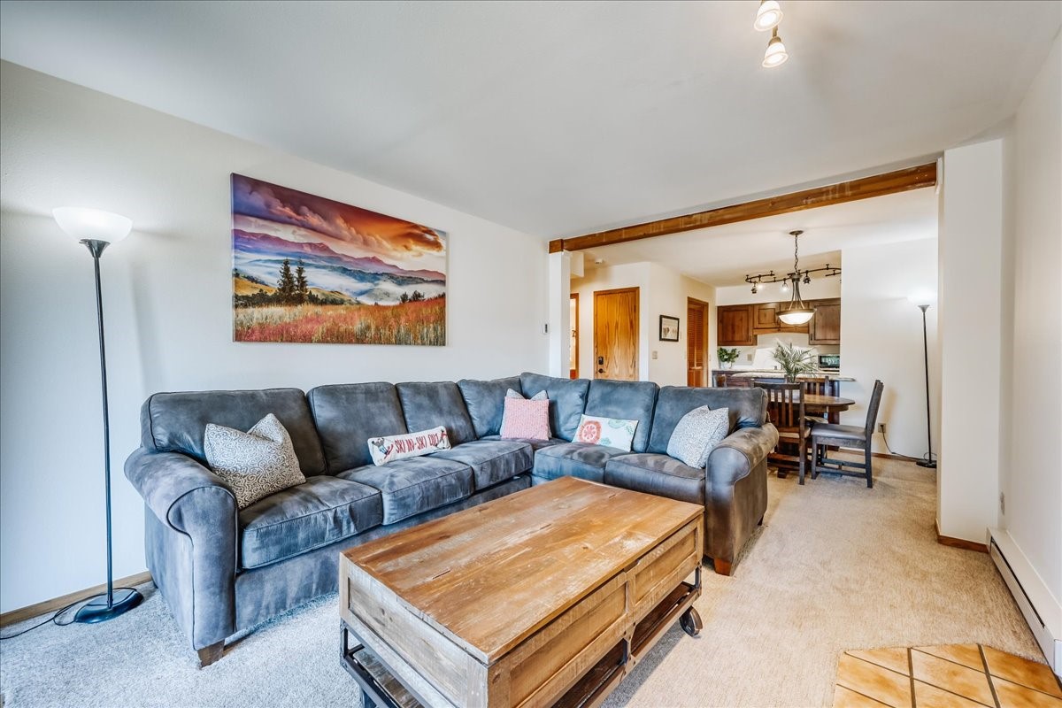 875 Four Oclock Road Breckenridge CO 80424