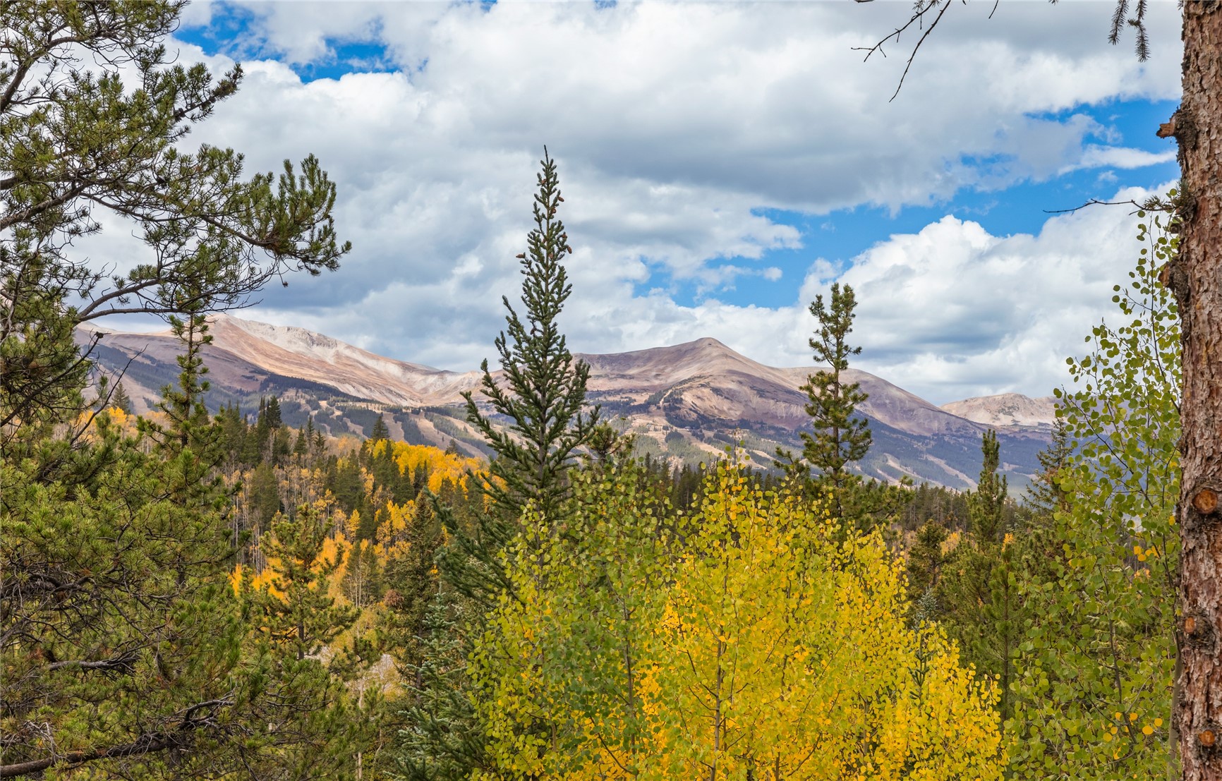 28 Illinois Gulch Road Breckenridge CO 80424