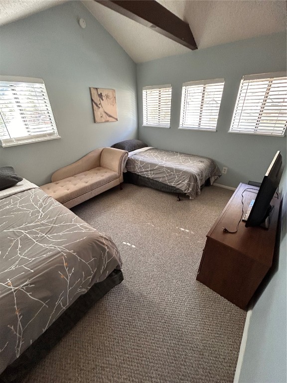 1901 Clear Creek Drive Georgetown CO 80444