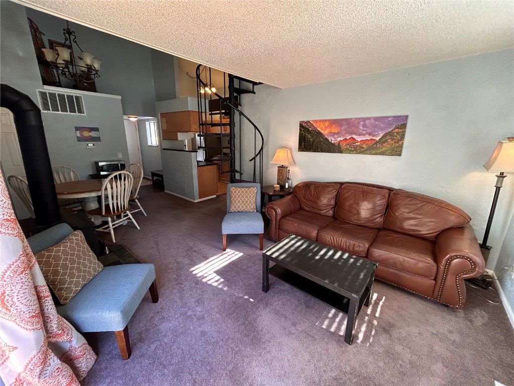 1901 Clear Creek Drive Georgetown CO 80444