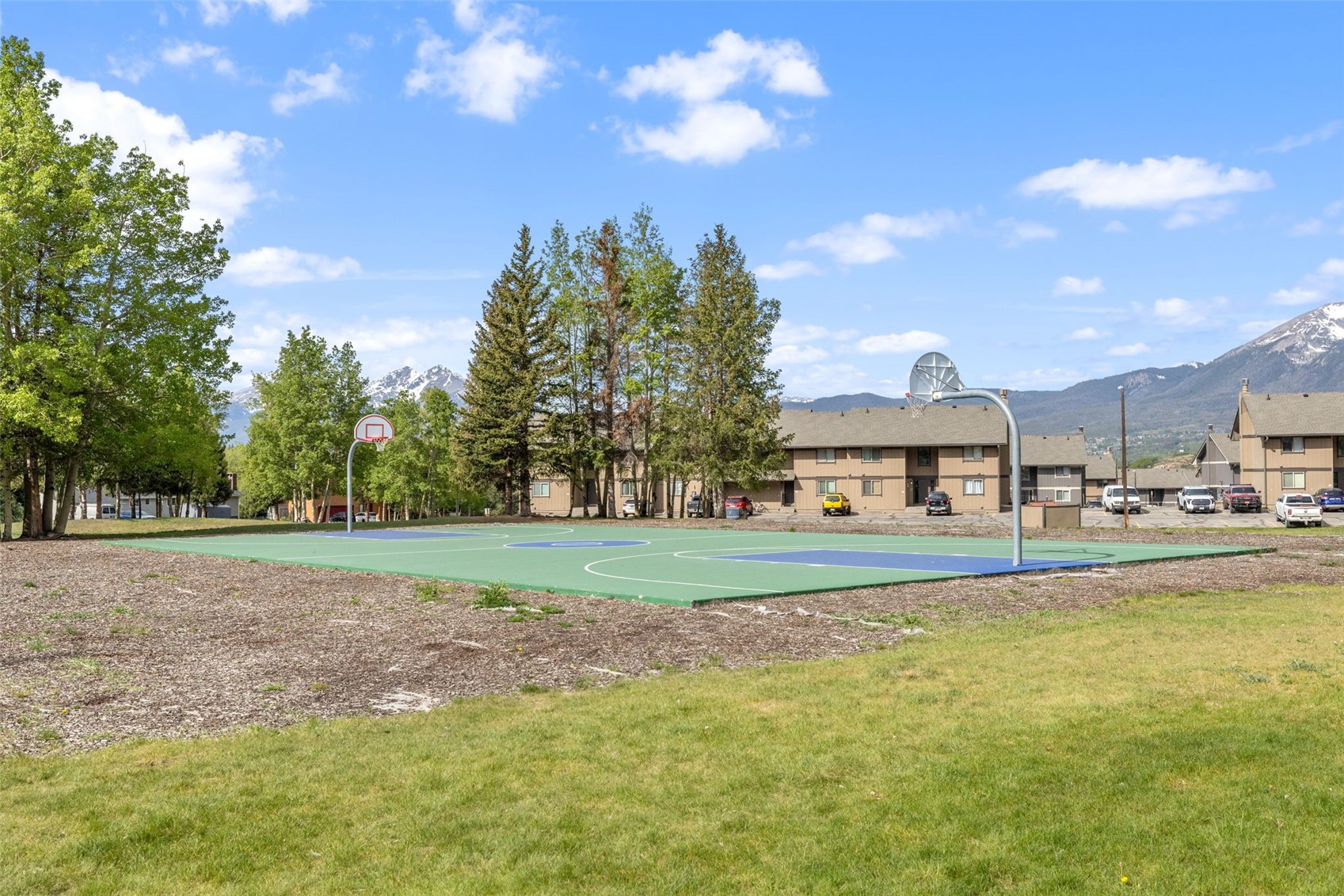 763 Straight Creek Drive Dillon CO 80435