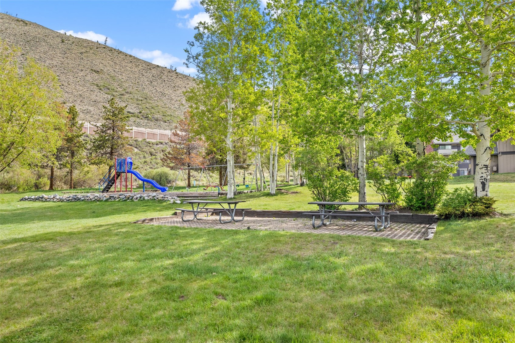 763 Straight Creek Drive Dillon CO 80435