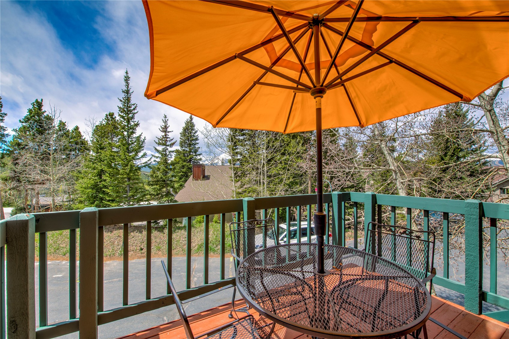 29 Washington Lode Breckenridge CO 80424