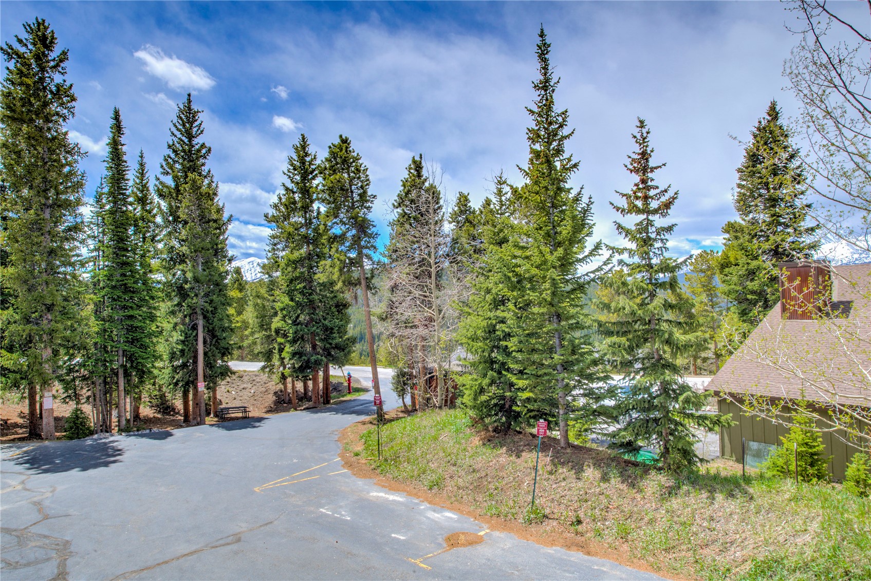 29 Washington Lode Breckenridge CO 80424