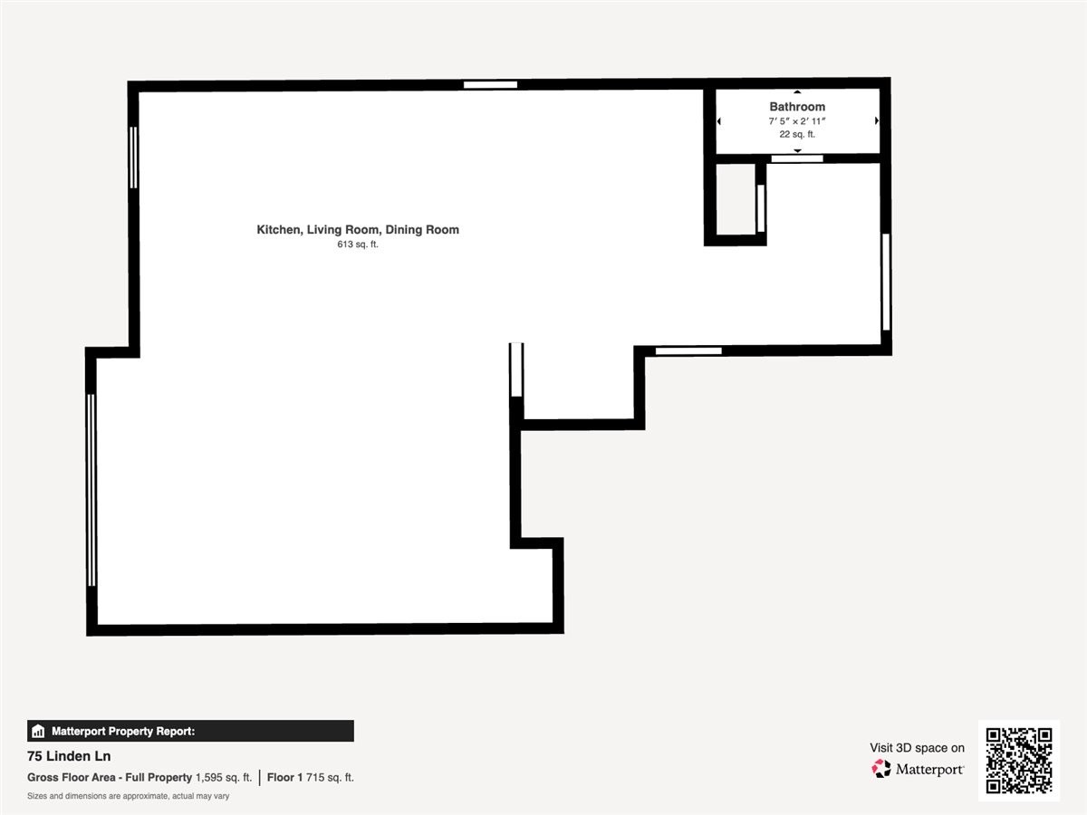 75 Linden Lane Breckenridge CO 80424